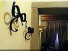 фото отеля Alla Dimora Lucense