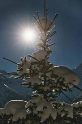 фото отеля Sporthotel Valsana Arosa
