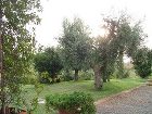 фото отеля Agriturismo Il Melograno di Banditella