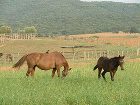 фото отеля Agriturismo Il Melograno di Banditella