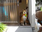 фото отеля Backpackers Fuji