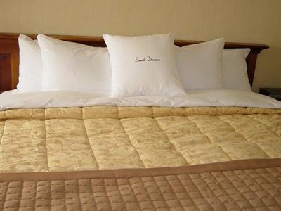 фото отеля Doubletree Hotel Bradley International Airport