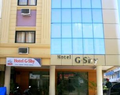 фото отеля Hotel G-Shy