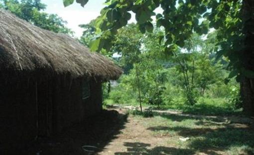 фото отеля Udzungwa Forest Tented Camp Kilombero