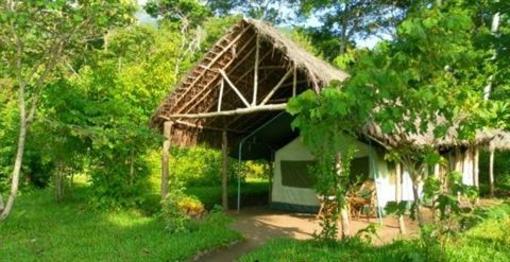 фото отеля Udzungwa Forest Tented Camp Kilombero