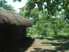 фото отеля Udzungwa Forest Tented Camp Kilombero