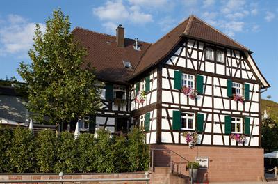 фото отеля Hotel Ritter Durbach