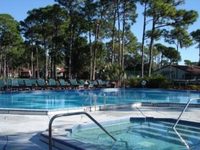 Pine Timberwood Suites Sarasota