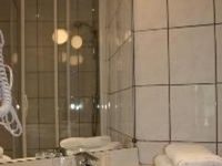 Hotel Le Tilleul Bleu