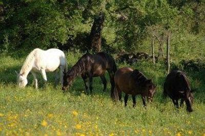 фото отеля Agriturismo Bio Le Macchie Alte Manciano