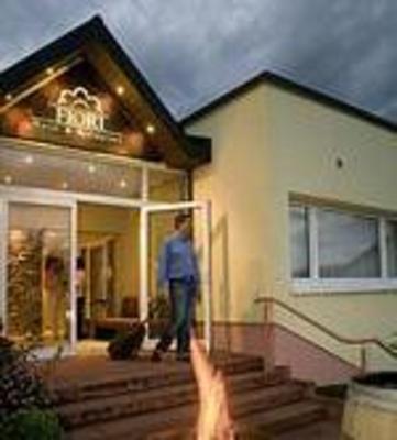 фото отеля Hotel Fiori Bad Soden-Salmunster