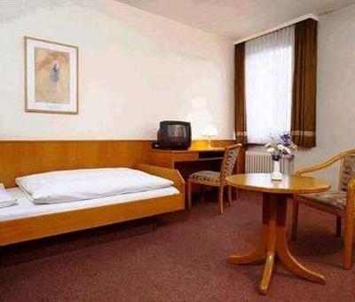 фото отеля Neckar Hotel Heidelberg