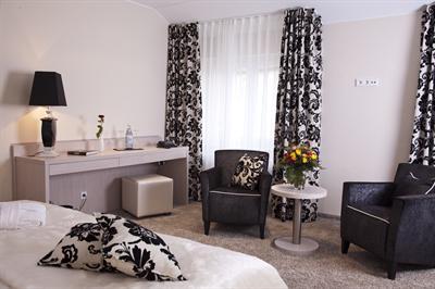 фото отеля Hotel Palatina