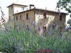 фото отеля Il Castagnolino Hotel San Gimignano