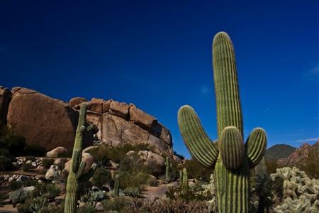 фото отеля Boulders Resort Carefree Scottsdale