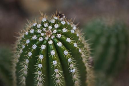 фото отеля Boulders Resort Carefree Scottsdale