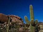 фото отеля Boulders Resort Carefree Scottsdale