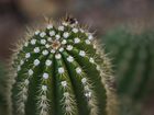 фото отеля Boulders Resort Carefree Scottsdale