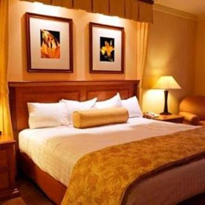 фото отеля Hotel White Lily