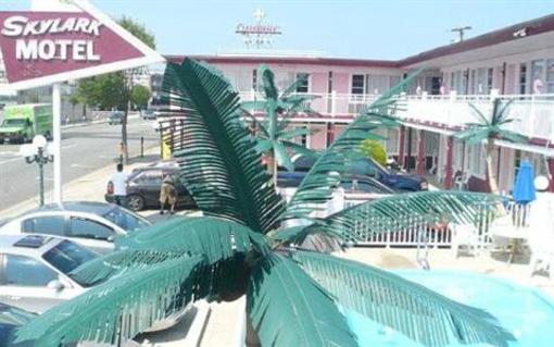 фото отеля Skylark Resort Motel