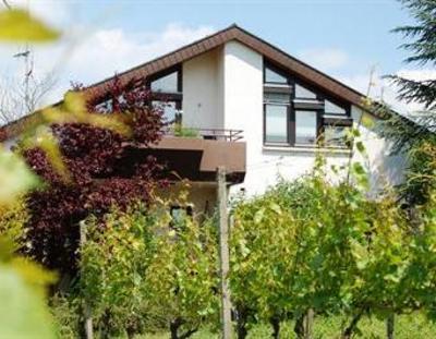 фото отеля Appartement Hotel Im Weingarten Müllheim