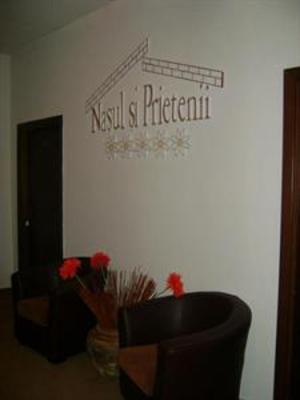 фото отеля Pension Nasul si Prietenii