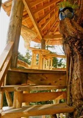 фото отеля Ukee Treehouse B&B