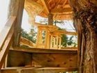 фото отеля Ukee Treehouse B&B