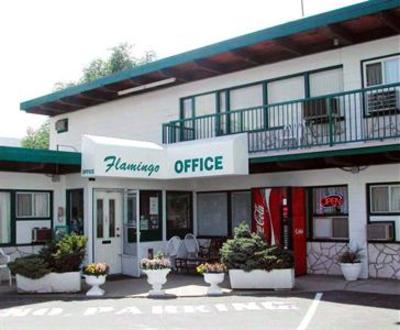 фото отеля Flamingo Motel Penticton