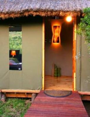 фото отеля Shamwari Bayethe Tented Camp Paterson (South Africa)