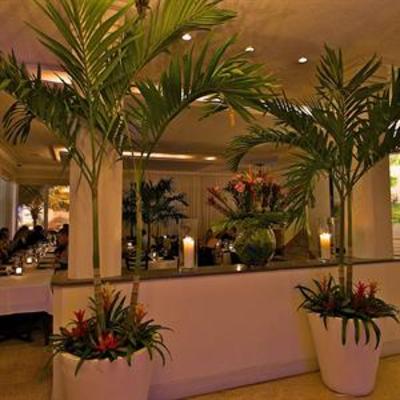 фото отеля Avalon Hotel Miami Beach