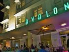 фото отеля Avalon Hotel Miami Beach