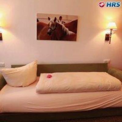 фото отеля Haflingerhof Hotel Roßhaupten