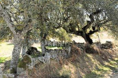 фото отеля Posada Real La Mula de los Arribes