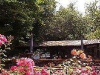 Eifelstern Hotel Bitburg