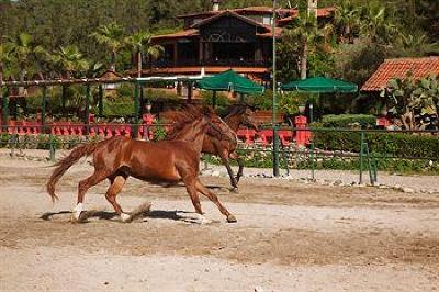 фото отеля Berke Ranch Hotel Kemer