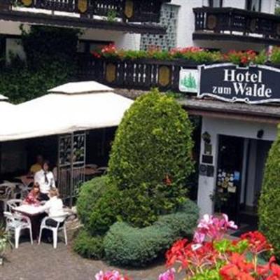 фото отеля Hotel zum Walde
