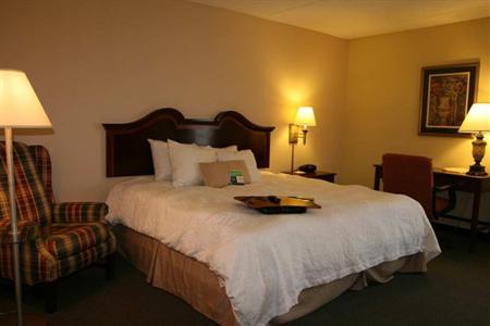 фото отеля Hampton Inn North