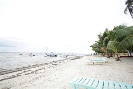 фото отеля Panglao Tropical Villas