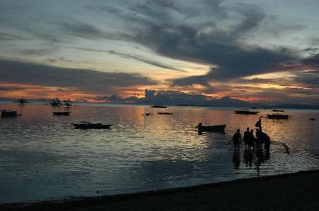 фото отеля Panglao Tropical Villas