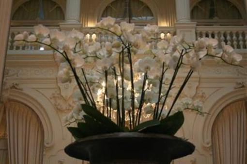фото отеля Hotel Walburg