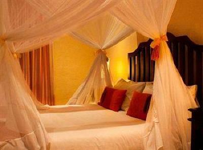 фото отеля Abangane Guest Lodge