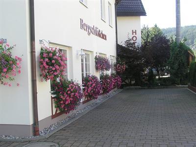фото отеля Hotel Bergschlößchen