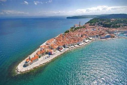фото отеля Apartment hostel Beli Kriz Portorož