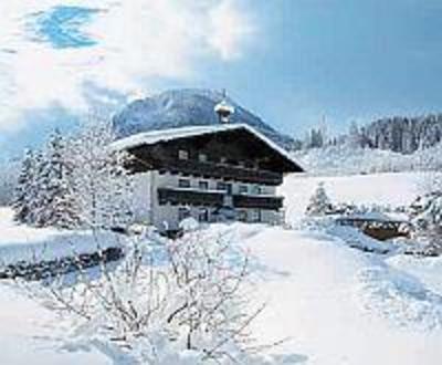 фото отеля Appartement Wieslbauer