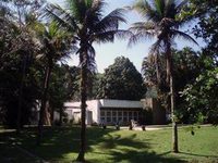 B&B Verde