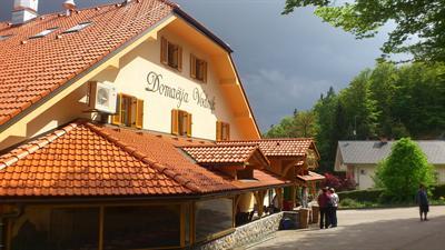 фото отеля Hotel & Apartments Vodnik