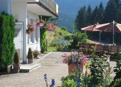 фото отеля Diana Hotel Feldberg (Baden Wurttemberg)