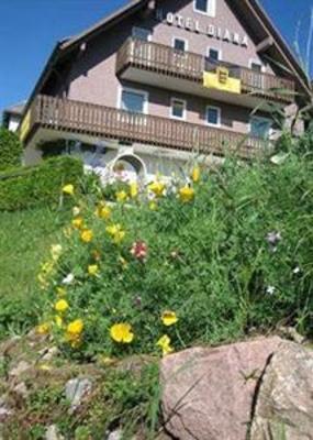 фото отеля Diana Hotel Feldberg (Baden Wurttemberg)