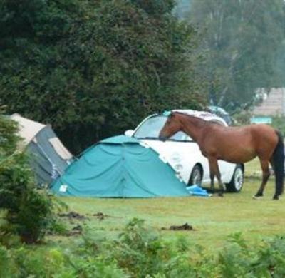 фото отеля Roundhill Caravan Park & Campsite